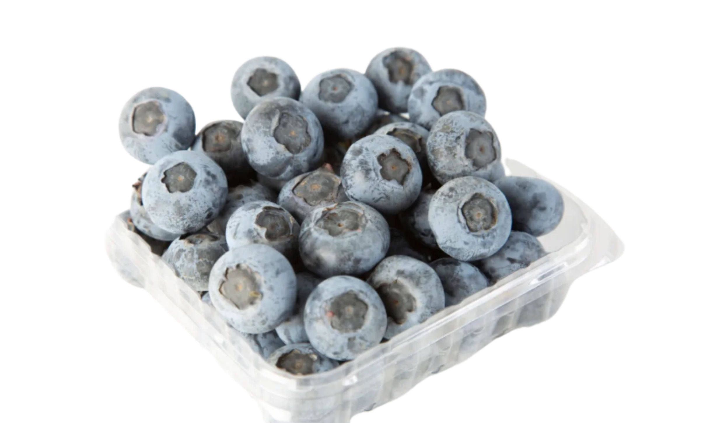 Westfalia秘鲁蓝莓首季商业量产8月上市