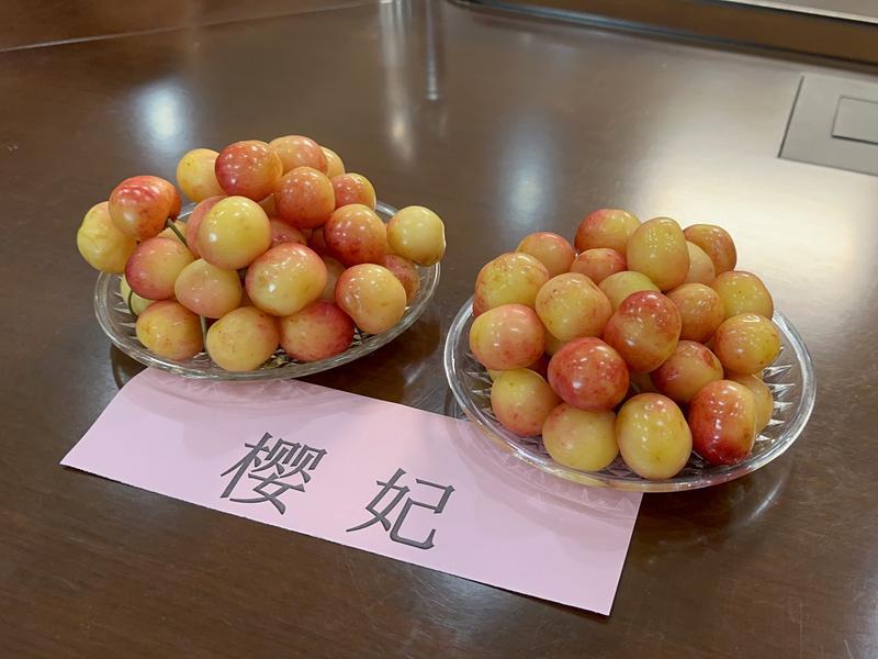 烟台樱桃新品种100万元签约转让 硬脆耐储黄肉樱桃填补市场空白