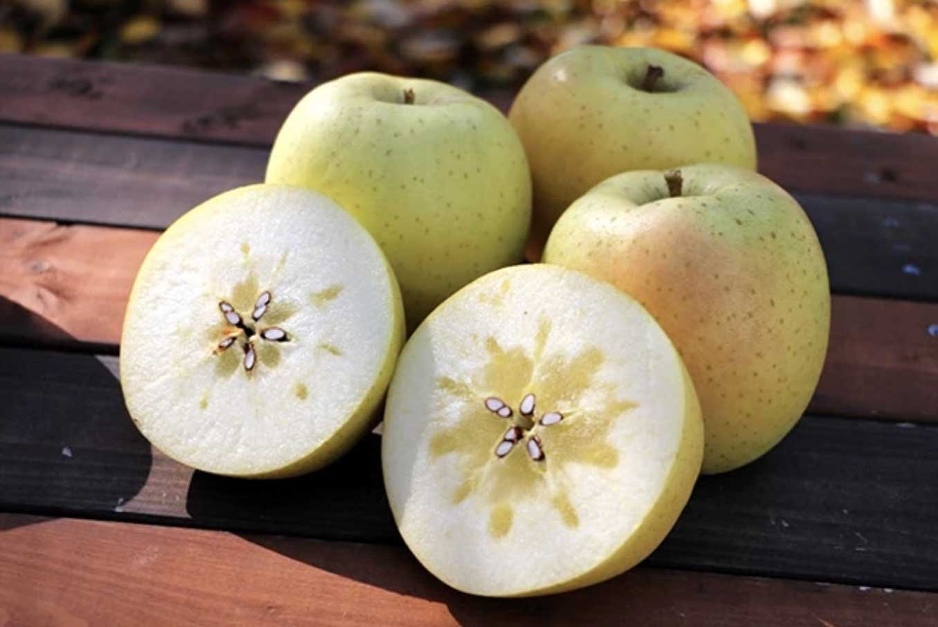 日本水果品种授权国际化 Kimito苹果投种南非