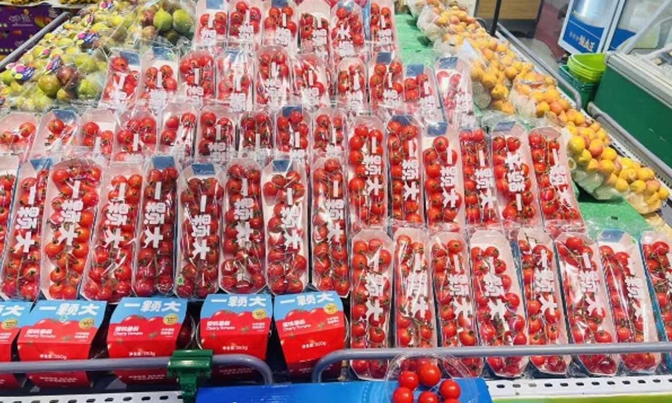 番茄品牌化进阶 一颗大樱桃番茄上架绿叶水果1300余家门店