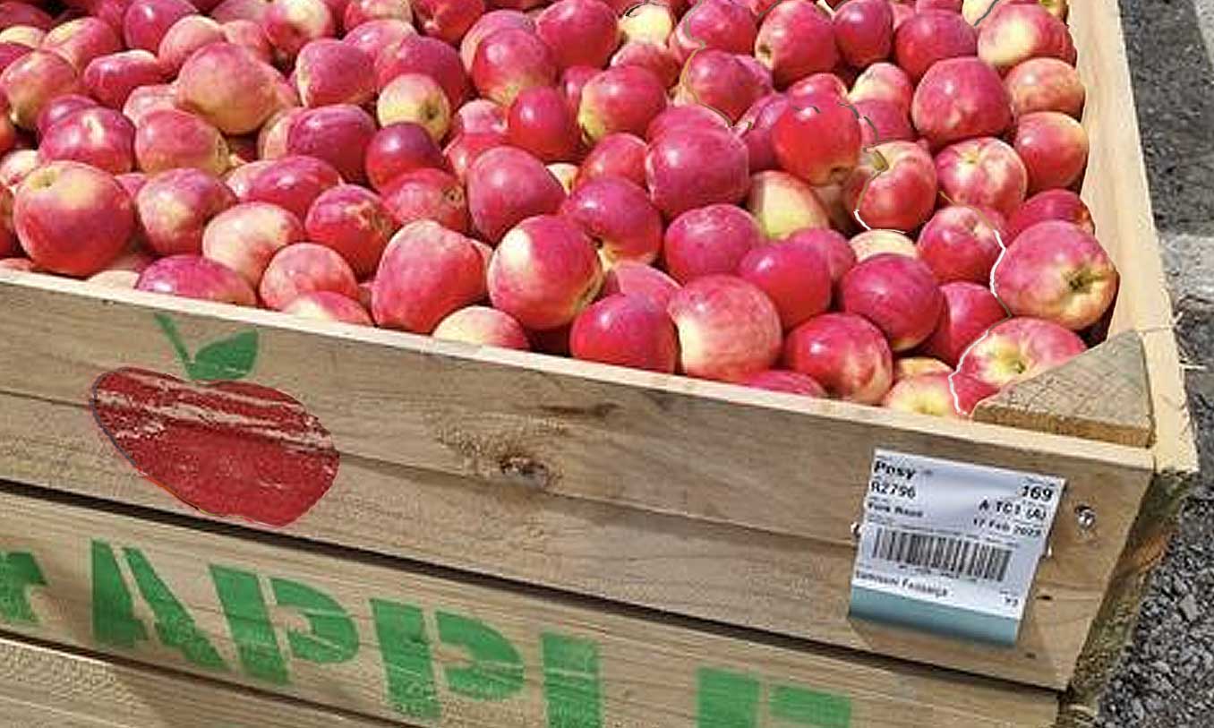 新西兰苹果先生1.5亿出售旗下两个果园