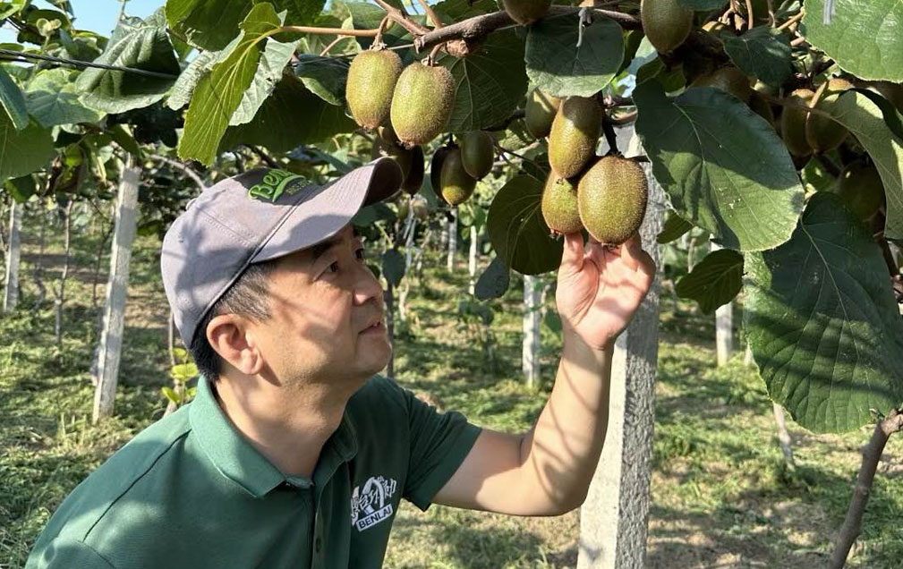 【节庆市场】本来生活张湘海：差异化产品实现突围 把握当前消费机遇