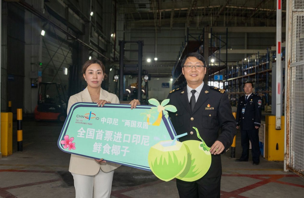 全国首批印尼椰子入境