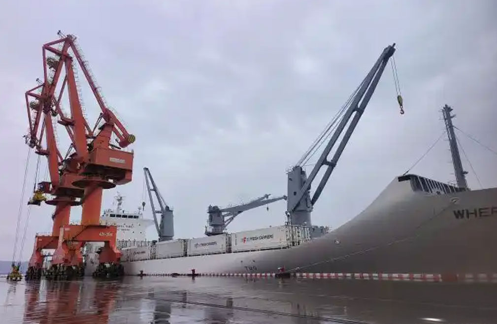 浙江台州港迎今年首批新西兰奇异果