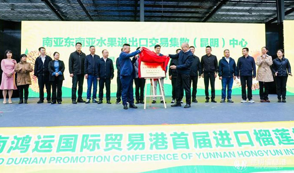 昆明建成东南亚水果集散中心  中老铁路已运9000柜榴莲