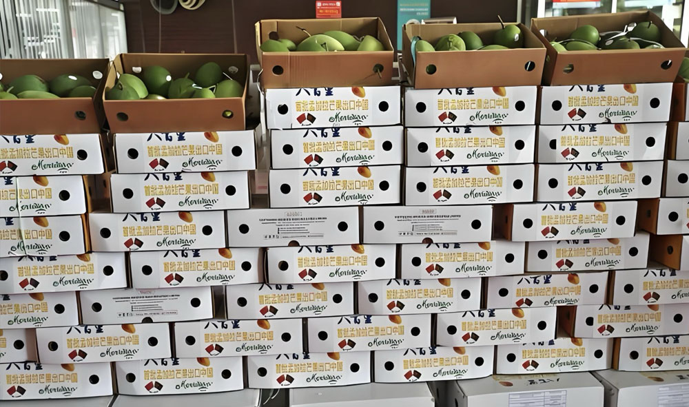 孟加拉国芒果首次进入中国市场 首年出口可超百余吨