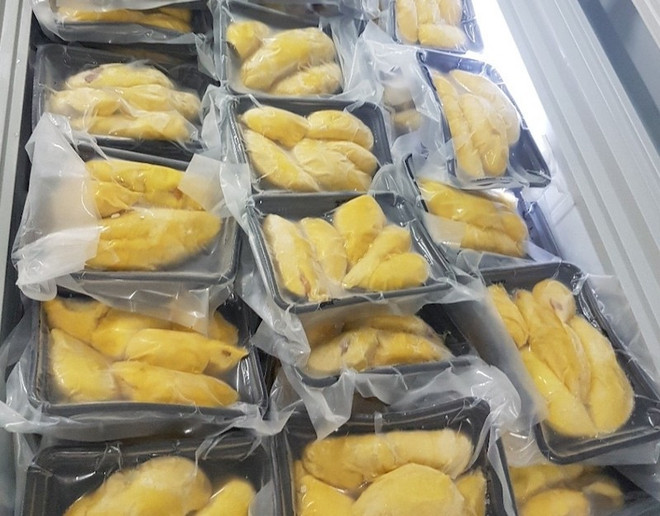 广西口岸首次进口越南冷冻榴莲