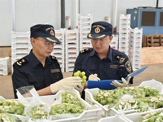 云南首次以“批次检验检疫”模式出口鲜果