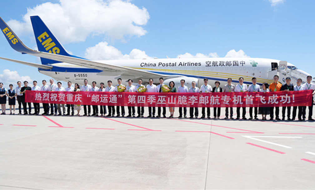 巫山脆李开园上市  水陆空助力销往全国