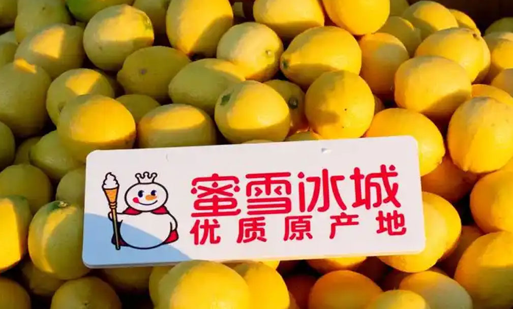 蜜雪冰城投资安岳柠檬供应链  年加工量超2万吨