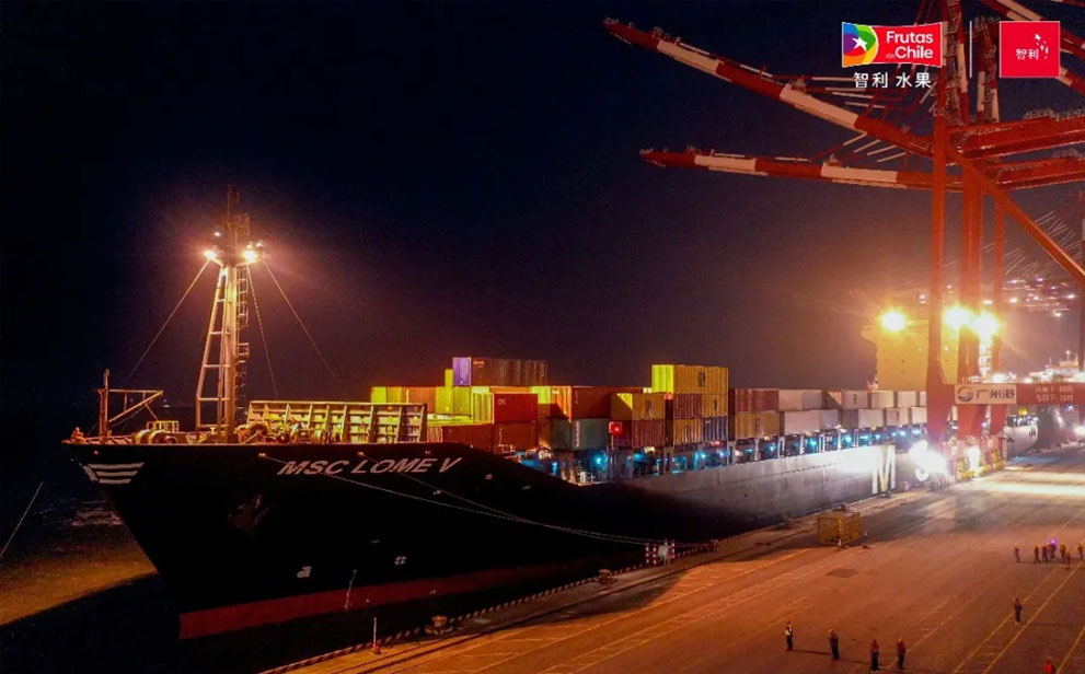 25/26产季首条车厘子快线抵达南沙港 系列视频详解车厘子保鲜要领