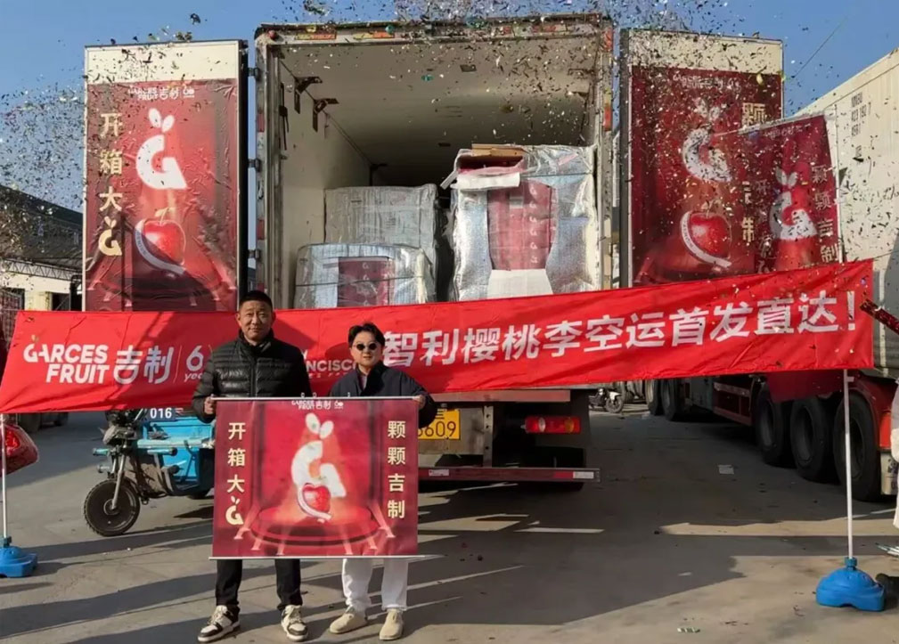 智利Garces Fruit首批吉制樱桃李抵达中国