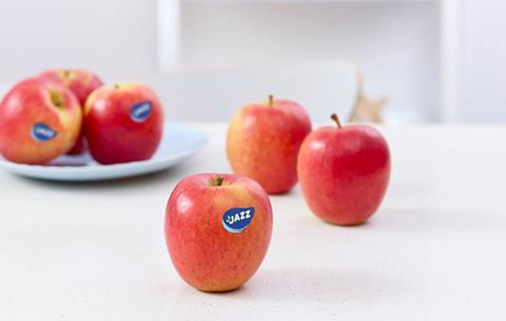 新西兰苹果:T&G种植收益增长25% 爱妃、爵士需求强劲