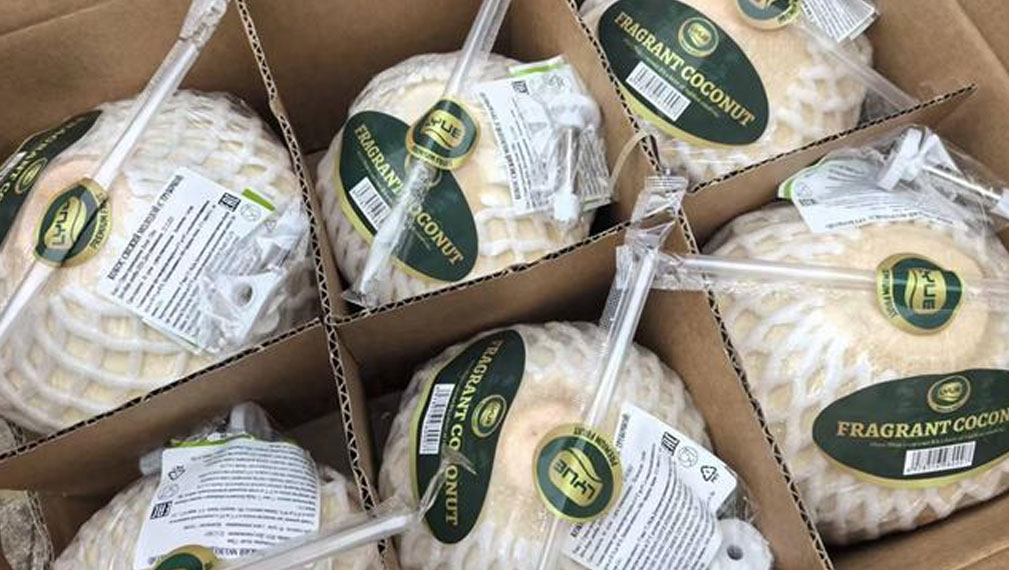 海南鲜椰子首发白俄罗斯