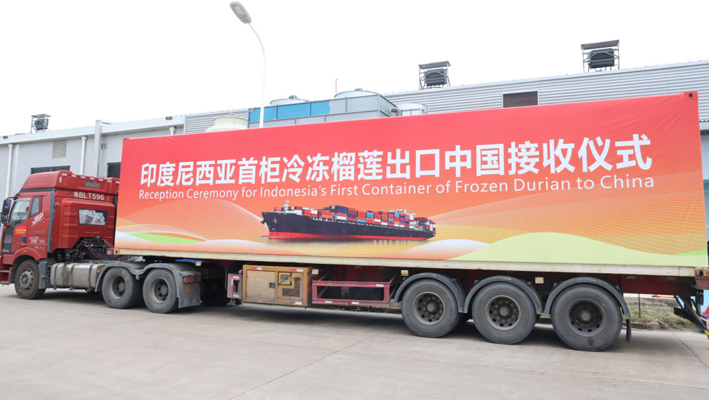 广西钦州接收首柜印尼冷冻榴莲  嘉荣食品投资3000万建设榴莲工厂