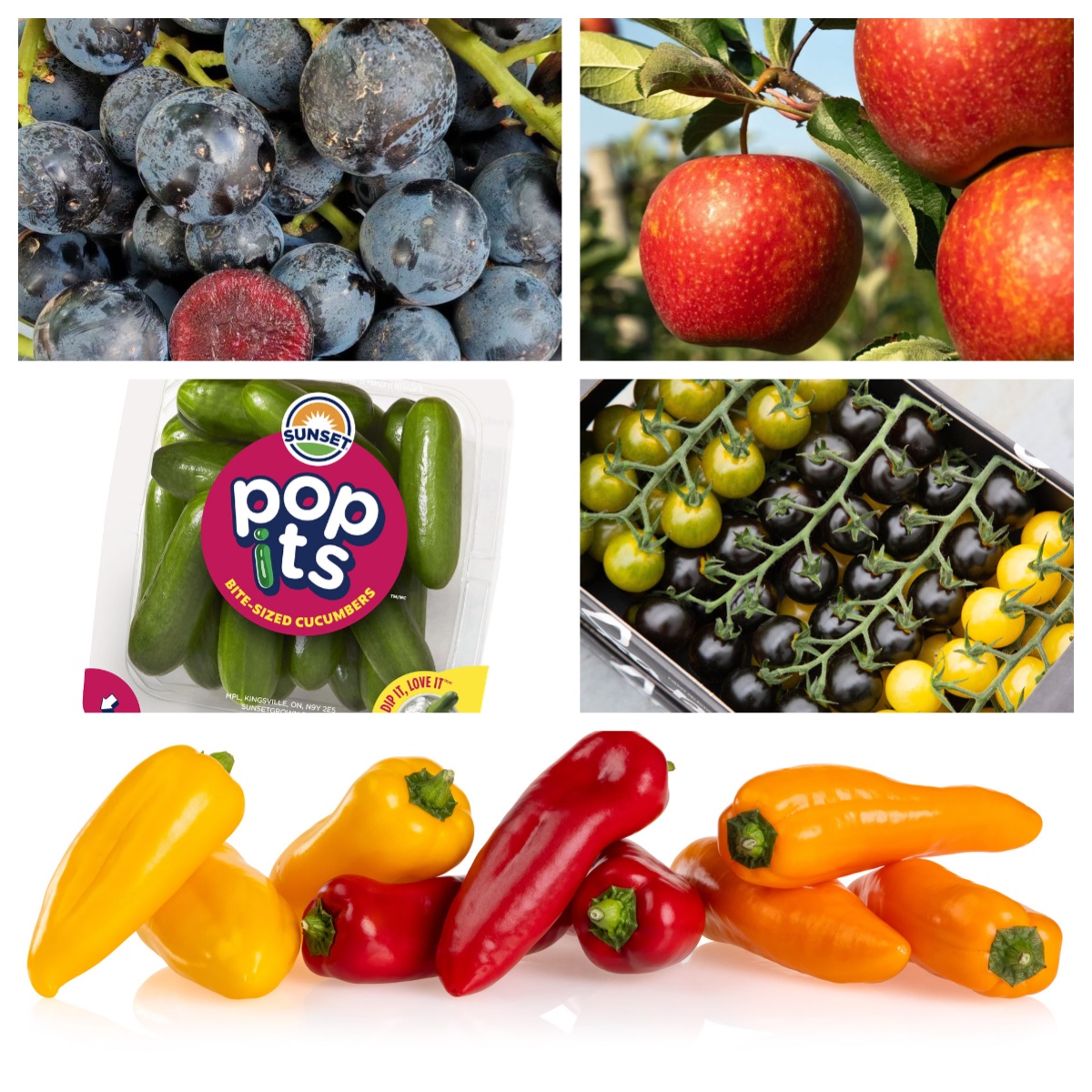 柏林果蔬展公布2026“创新奖”果蔬入围名单