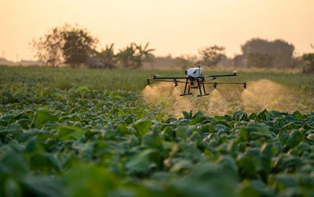 中国果蔬产量大幅增长  高标准农田年增超500万公顷