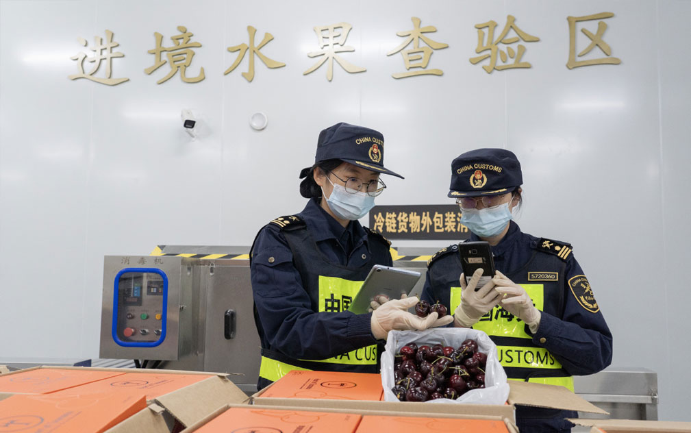 澳大利亚樱桃首次经港珠澳大桥珠海公路口岸入境内地