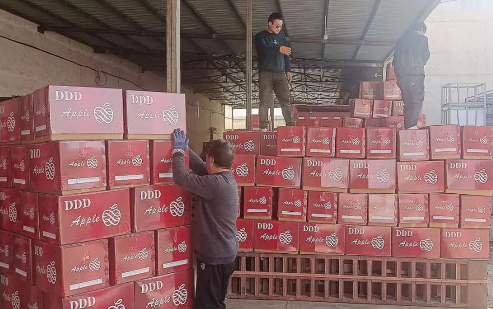 63吨静宁苹果陆运发往尼泊尔