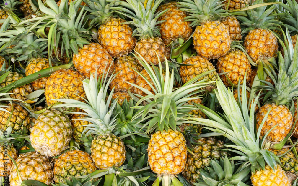 乌兹别克斯坦临时限制中国柑橘与菠萝进口