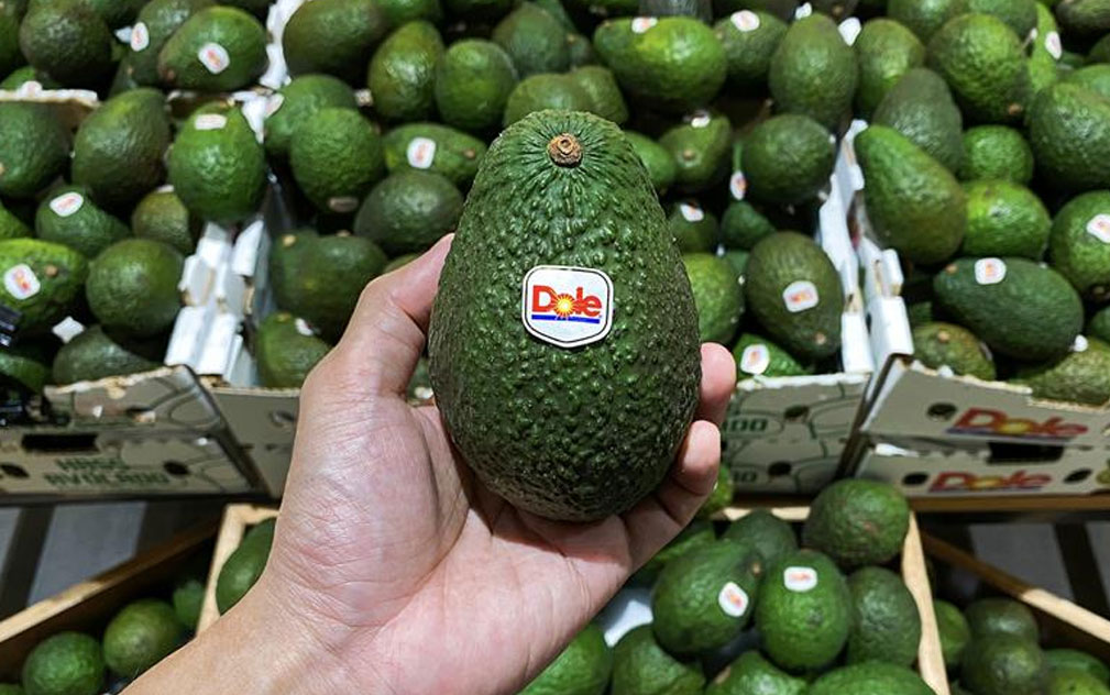 都乐2025全年财报：收入稳健增长超8%  实现“战略里程碑”