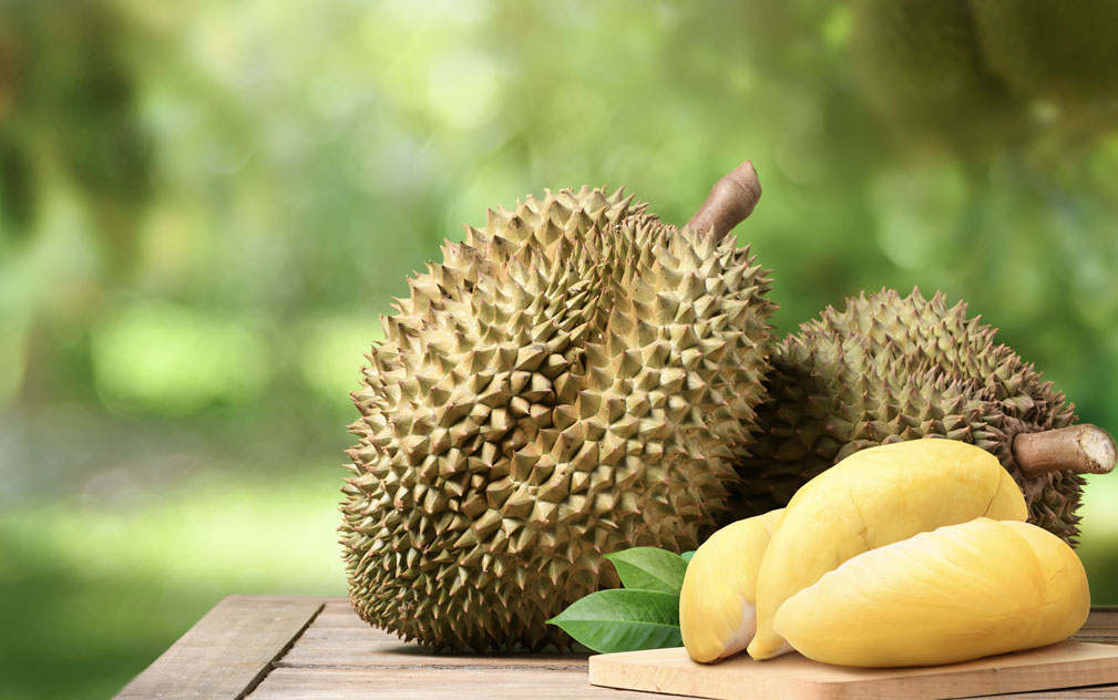 泰国GI榴莲市值破680亿铢 5大特色榴莲引市场关注