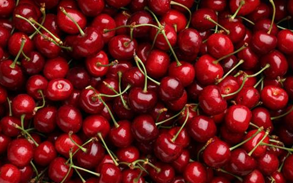 新西兰樱桃季谢幕 出口量缩减口碑不倒