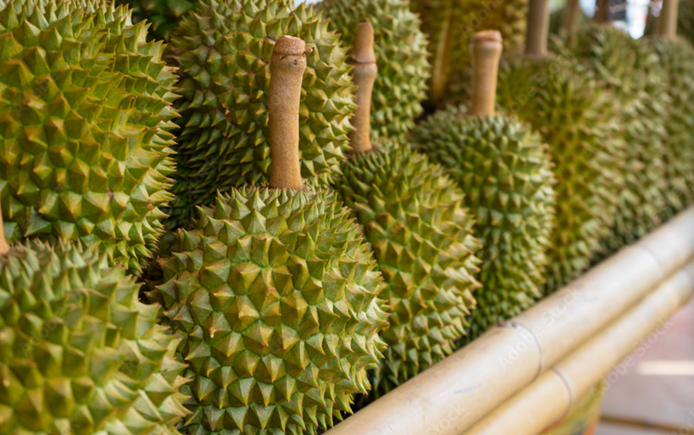 越南榴莲出口增长约275%