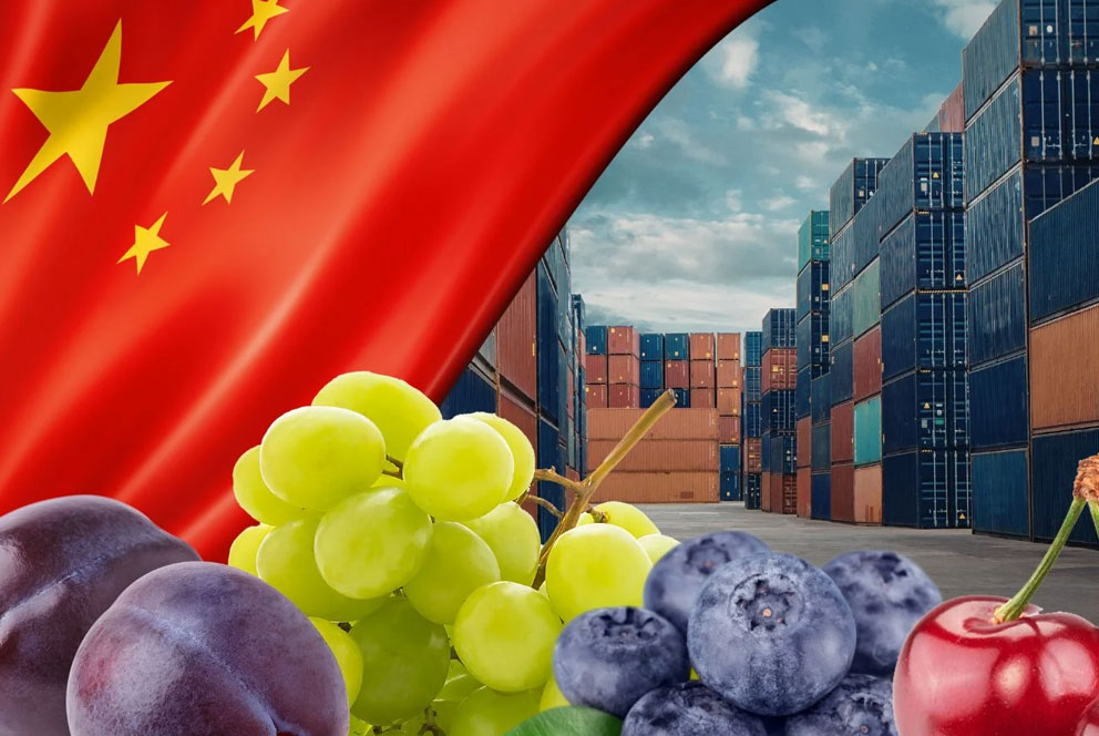 智利农产品输华实现100%无纸化通关  数秒内完成植检确保到岸品质