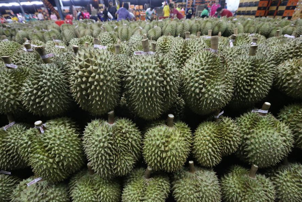 泰国榴莲每日铁路输华1500柜  澜湄快线26小时跨境成运输首选