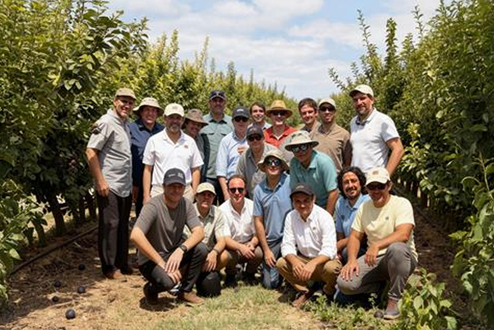 智利八大水果巨头组建BabyPlum Club  剑指全球高端细分市场