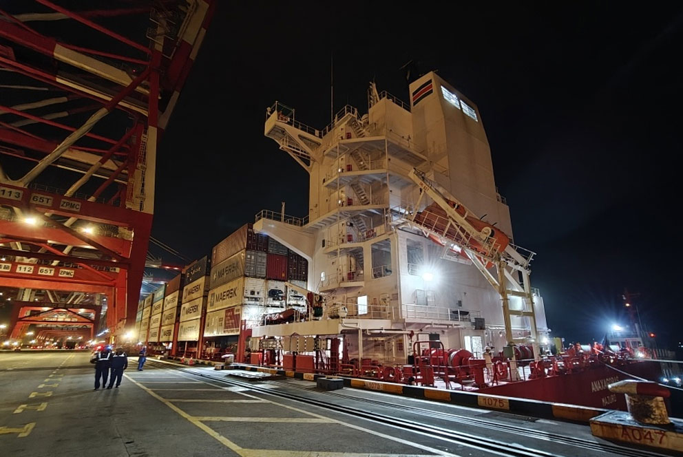 153吨新季新西兰苹果运抵上海洋山港