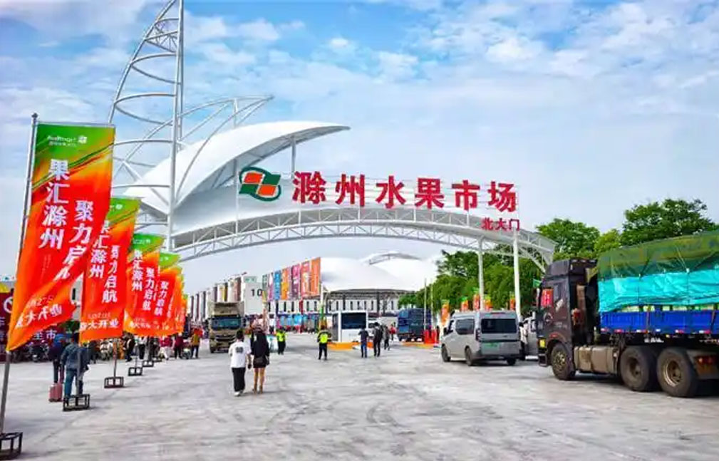 滁州水果市场开业  毗邻嘉兴引发同业“竞争风波”