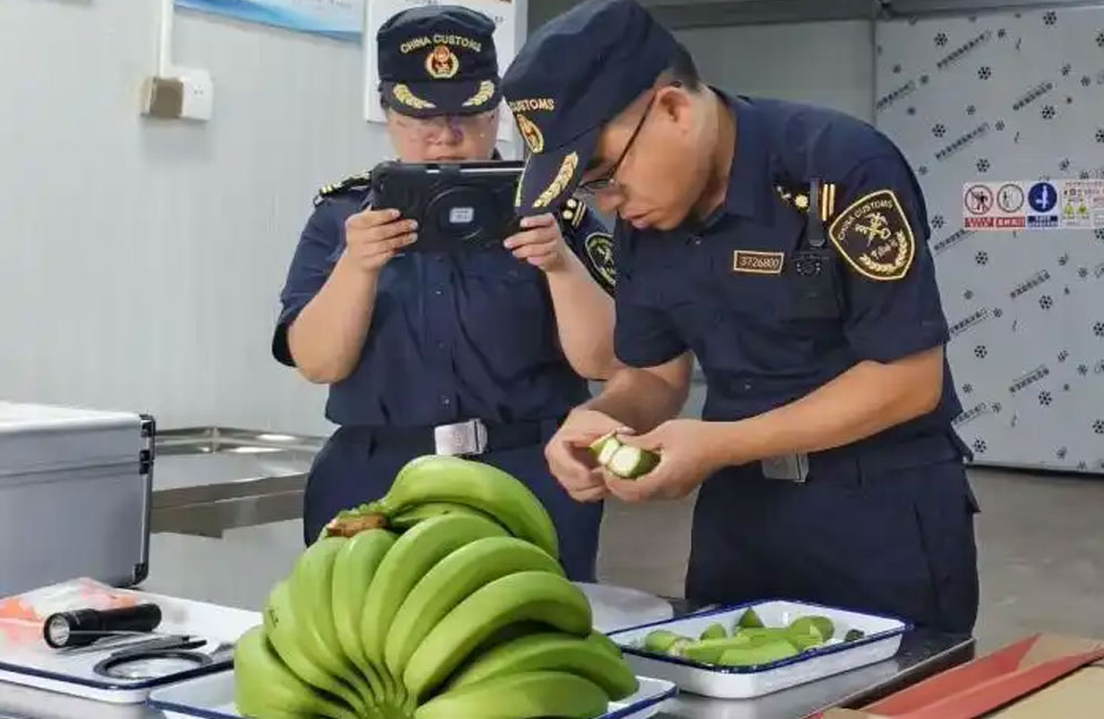 缅甸香蕉首次经清水河口岸进口