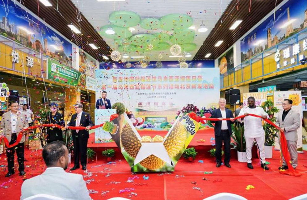 新发地市场落地榴莲智能分选系统  人工分选误差率直降90%以上