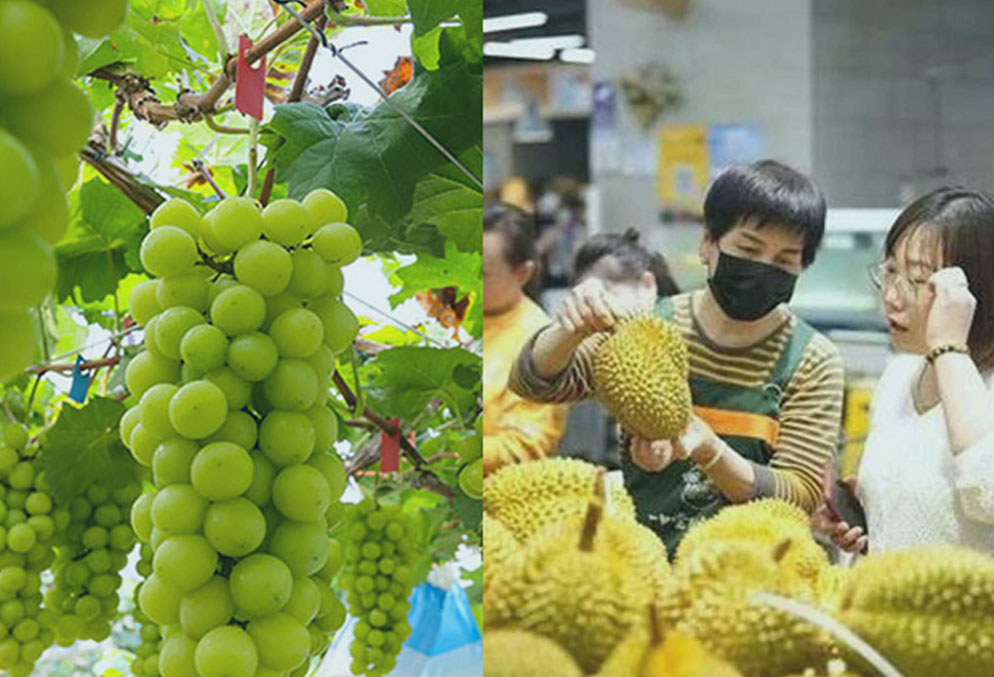 Frutura金龙：四大支柱推动亚洲区内贸易 南半球供应挑战加剧