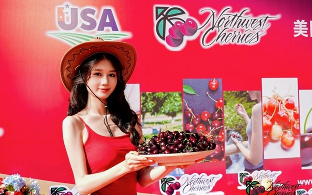 美国西北樱桃新季上市中国 江南市场举办华南首发