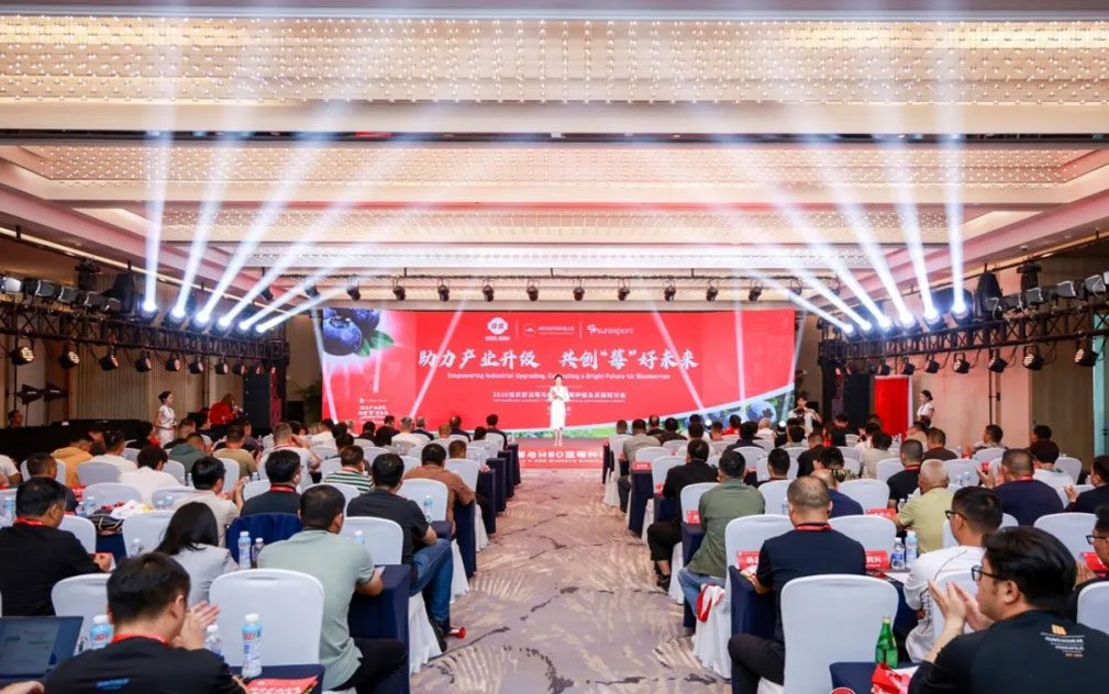 2026佳农舒泊莓与MBO蓝莓种植及发展研讨会在云南昆明圆满落幕