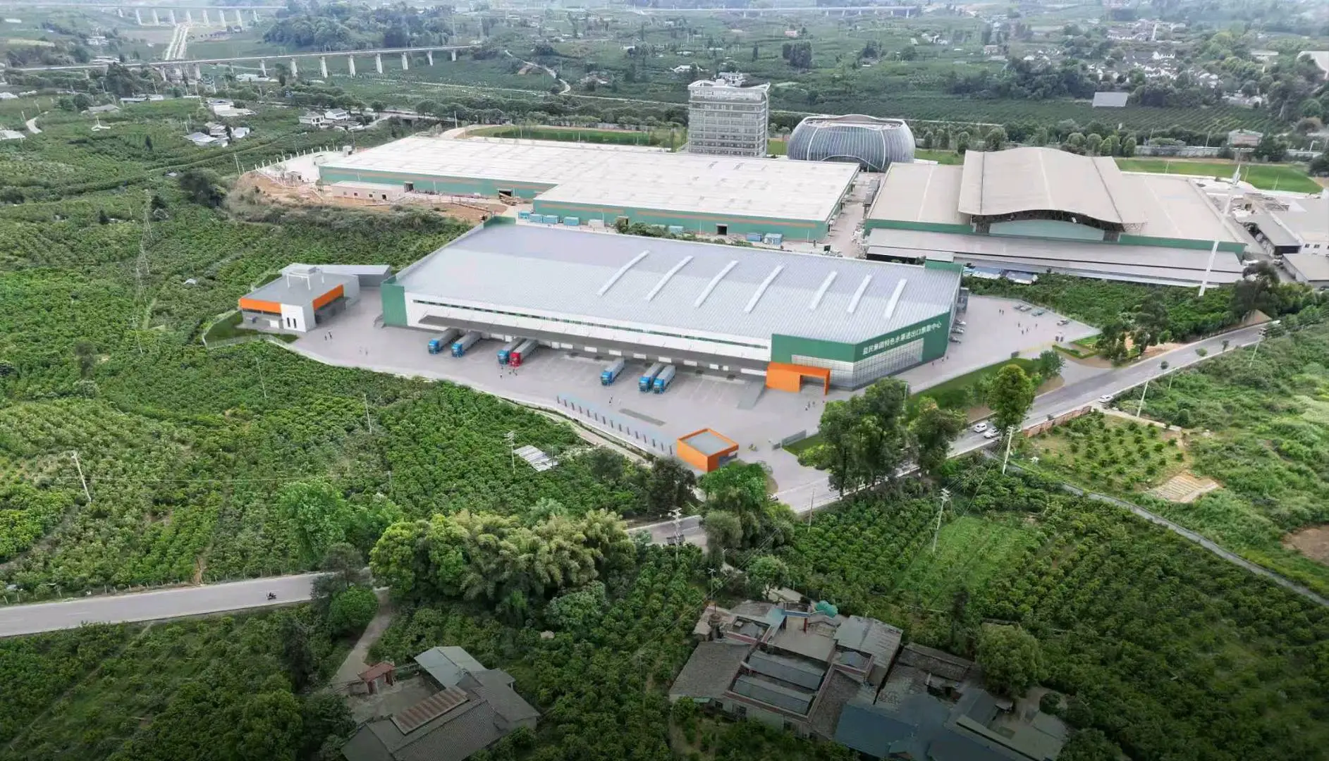 蒲江近亿元打造现代化水果进出口集散中心 有效延长猕猴桃、耙耙柑供应期