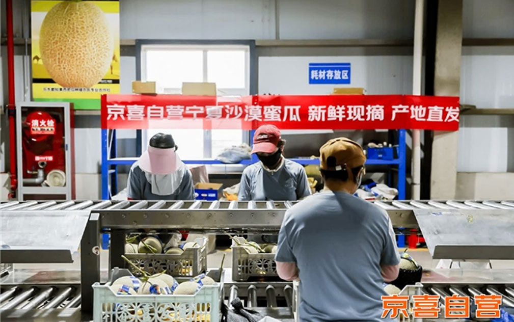 京东与银川达成战略合作 两大沙漠蜜瓜品种上线京喜自营