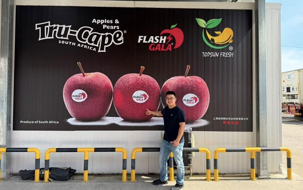 南非苹果品牌Tru-Cape登陆江南、辉展市场  广告牌强化在华认知