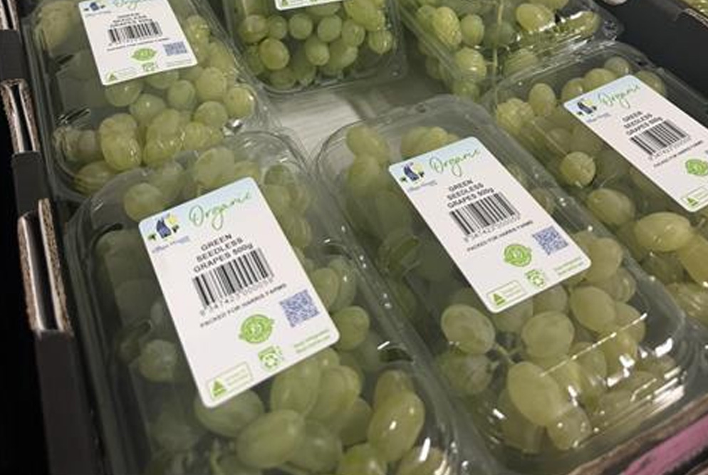 澳大利亚著名葡萄出口商进入破产清算